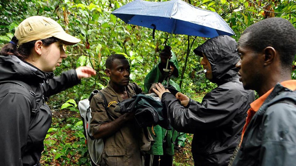 S pygmejskými průvodci konečně v tropickém deštném lese