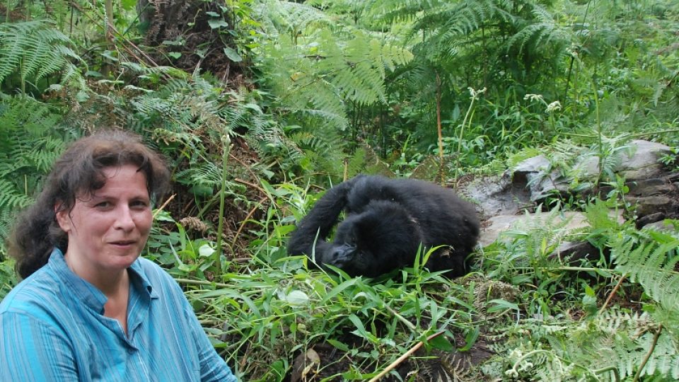 Autorka článku s gorilí samicí Kashundwe