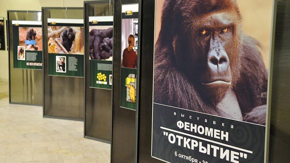 Darwinovo muzeum je třetím dějištěm výstavy Odhalení v Moskvě