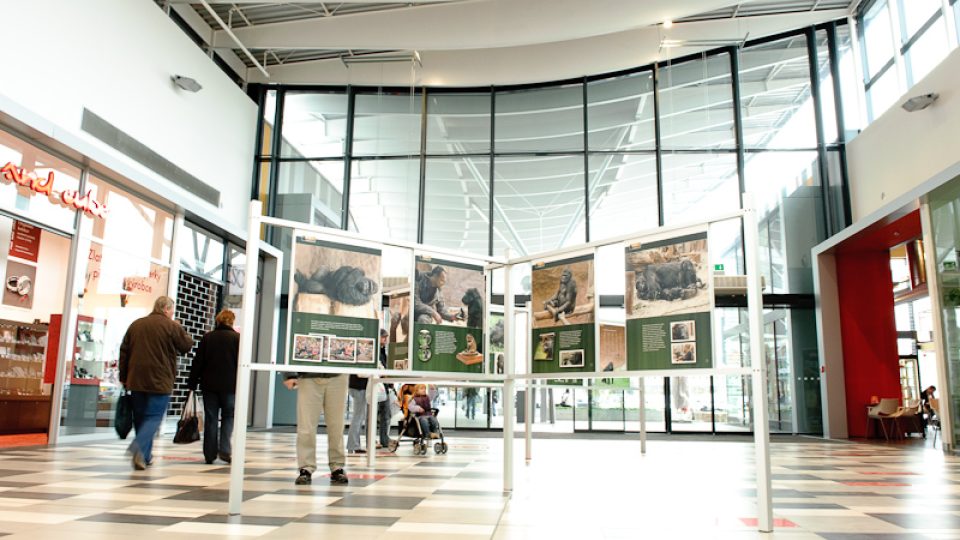 Výstava Odhalení v Brně